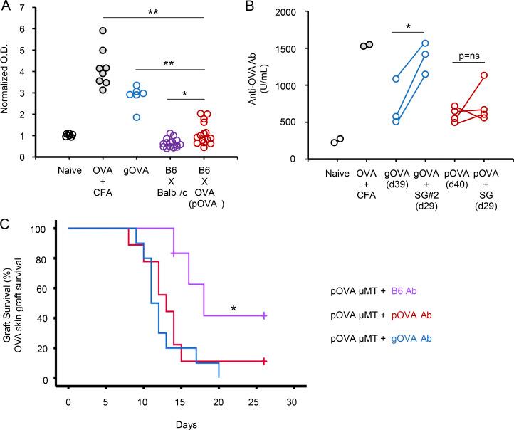 https://cdn.ncbi.nlm.nih.gov/pmc/blobs/2a43/8666877/6e7ed574b584/JEM_20201599_FigS1.jpg