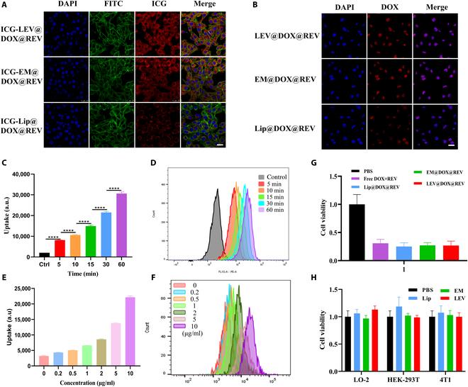 https://cdn.ncbi.nlm.nih.gov/pmc/blobs/2a60/11168305/8fb6a5bdbd07/bmr.0038.fig.003.jpg