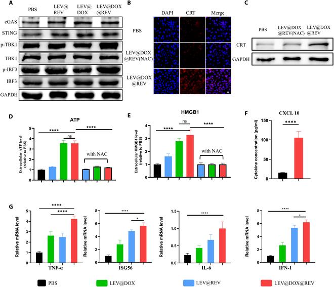 https://cdn.ncbi.nlm.nih.gov/pmc/blobs/2a60/11168305/a171cb37e76a/bmr.0038.fig.005.jpg