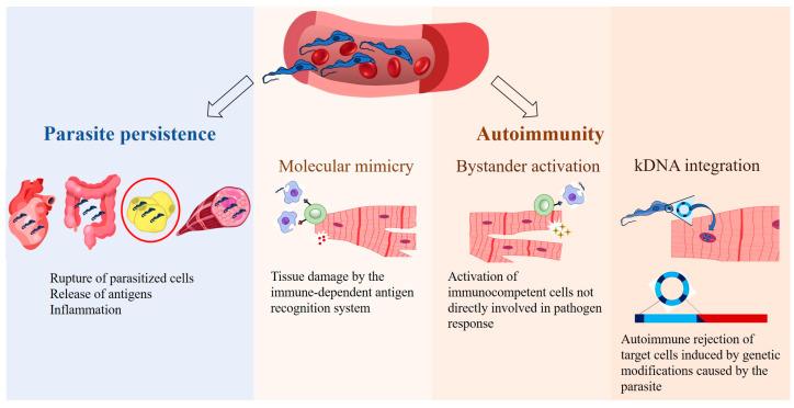 https://cdn.ncbi.nlm.nih.gov/pmc/blobs/2a6d/12030347/e8466f67e237/pathogens-14-00339-g001.jpg