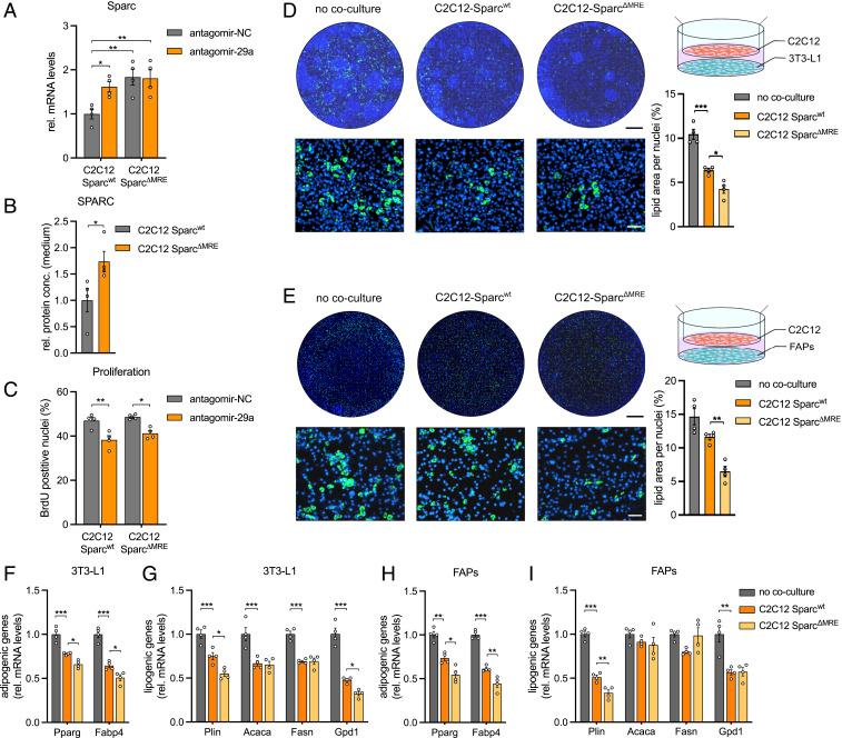 https://cdn.ncbi.nlm.nih.gov/pmc/blobs/2a73/8449320/36e21ccb001d/pnas.2021013118fig02.jpg