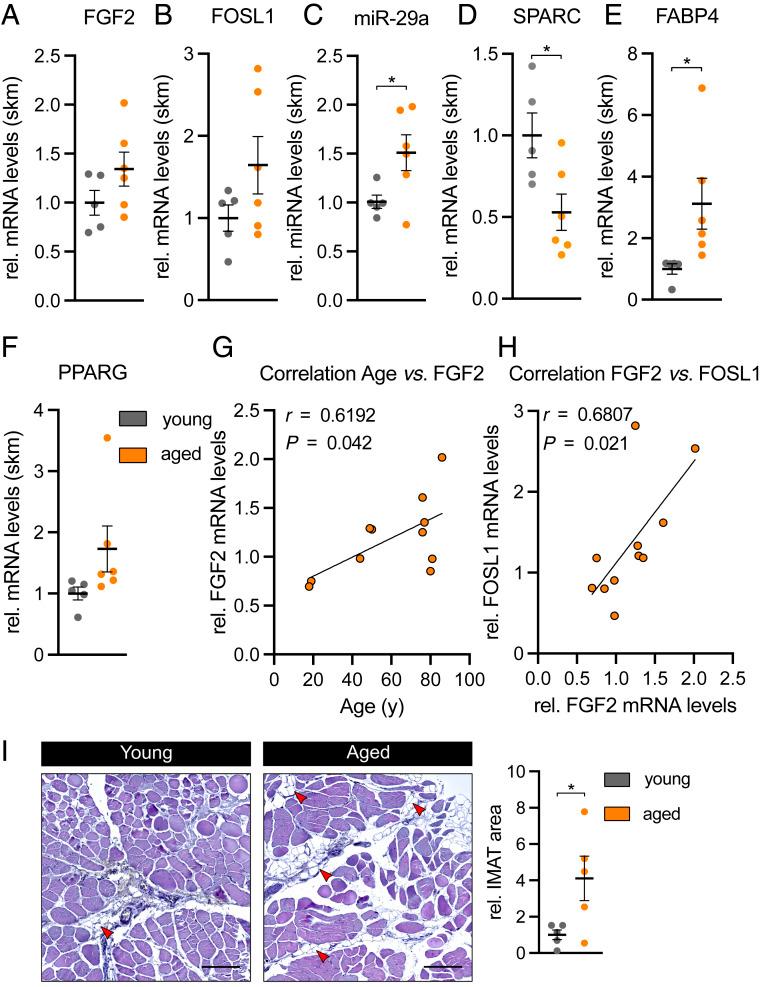 https://cdn.ncbi.nlm.nih.gov/pmc/blobs/2a73/8449320/5cba061f1b9b/pnas.2021013118fig08.jpg