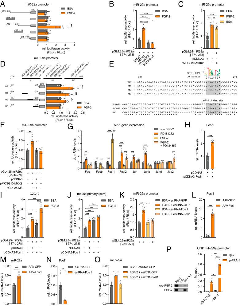 https://cdn.ncbi.nlm.nih.gov/pmc/blobs/2a73/8449320/5fcf8ff6c1f4/pnas.2021013118fig04.jpg