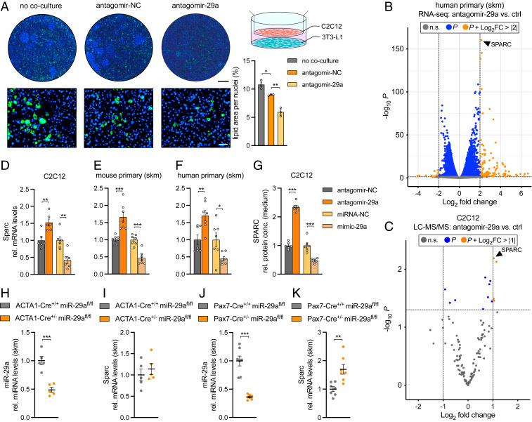 https://cdn.ncbi.nlm.nih.gov/pmc/blobs/2a73/8449320/72a9dd8c29bf/pnas.2021013118fig01.jpg