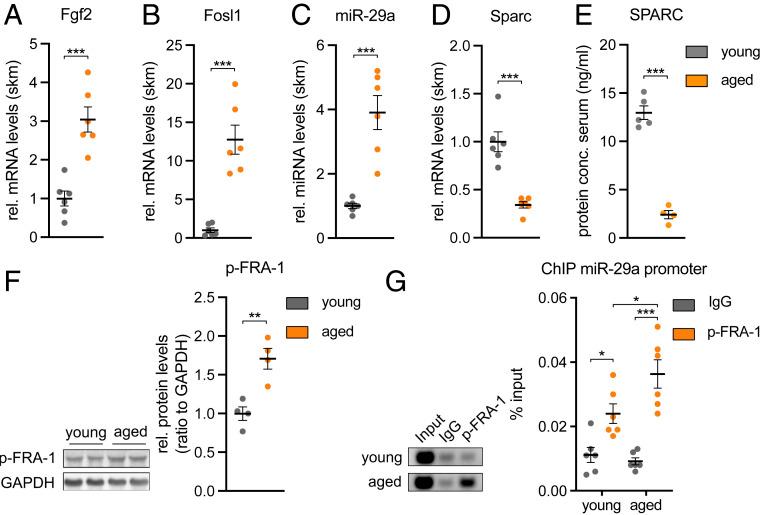 https://cdn.ncbi.nlm.nih.gov/pmc/blobs/2a73/8449320/f1b8785eee89/pnas.2021013118fig05.jpg