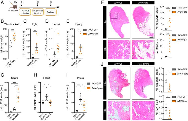 https://cdn.ncbi.nlm.nih.gov/pmc/blobs/2a73/8449320/f3d7cc782cdf/pnas.2021013118fig06.jpg