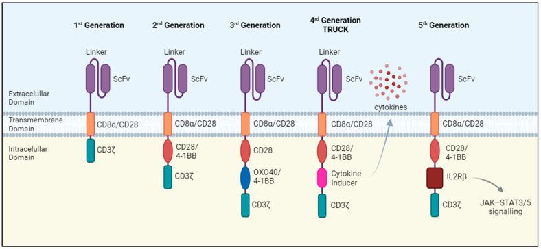 https://cdn.ncbi.nlm.nih.gov/pmc/blobs/2a74/11083689/8d5d21c1a677/cells-13-00725-g001.jpg