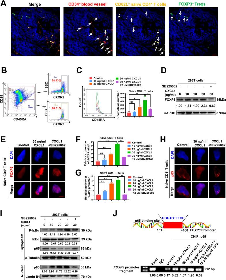 https://cdn.ncbi.nlm.nih.gov/pmc/blobs/2a86/8404313/9dbd464c81f3/12964_2021_775_Fig4_HTML.jpg