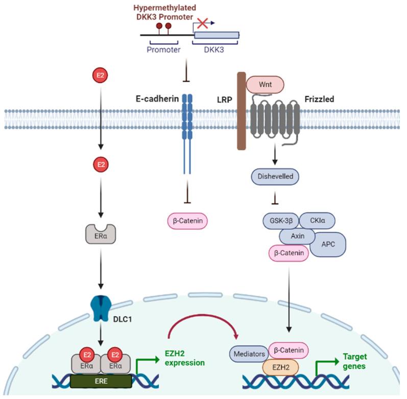 https://cdn.ncbi.nlm.nih.gov/pmc/blobs/2a95/9953240/d1afce326341/epigenomes-07-00006-g001.jpg
