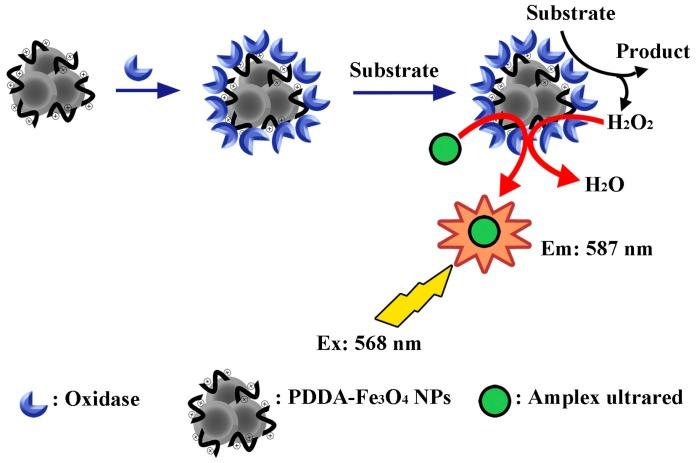 https://cdn.ncbi.nlm.nih.gov/pmc/blobs/2ab4/6271433/6e755668b22d/molecules-19-21506-g004.jpg