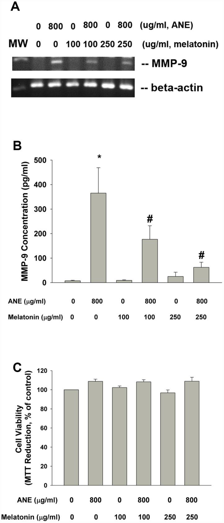 https://cdn.ncbi.nlm.nih.gov/pmc/blobs/2ab7/6932916/9ef8ba1b7f7a/aging-11-102565-g007.jpg