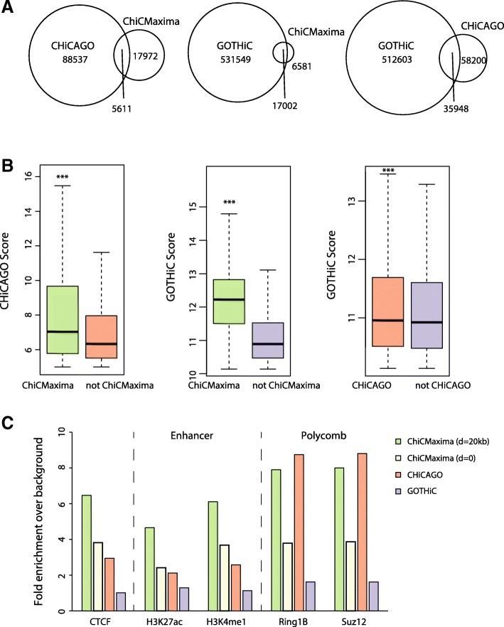 https://cdn.ncbi.nlm.nih.gov/pmc/blobs/2ac1/6532271/49552c9e070d/13059_2019_1706_Fig3_HTML.jpg