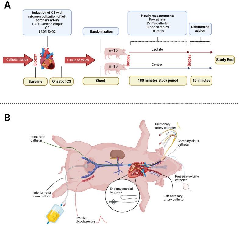https://cdn.ncbi.nlm.nih.gov/pmc/blobs/2aca/11907994/69ab0321b1cd/13054_2025_5346_Fig1_HTML.jpg