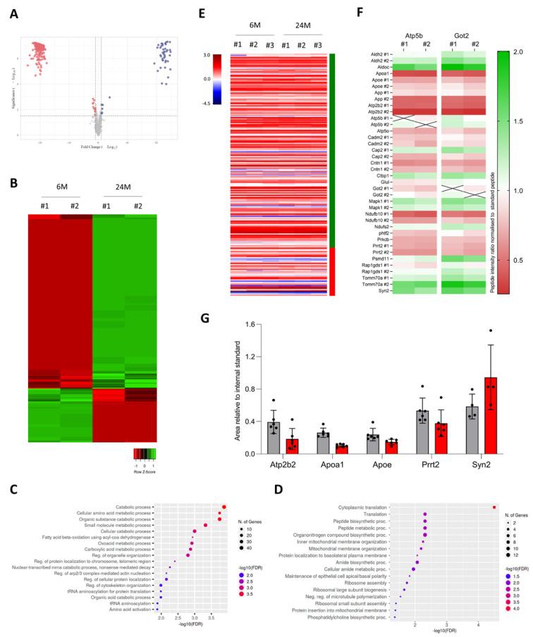 https://cdn.ncbi.nlm.nih.gov/pmc/blobs/2ae1/9954025/8d498f015426/cells-12-00615-g004.jpg