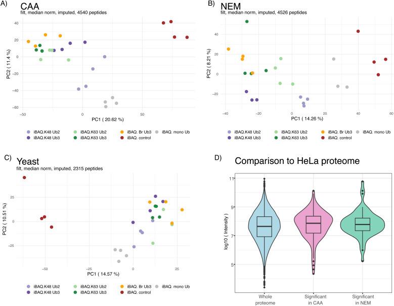 https://cdn.ncbi.nlm.nih.gov/pmc/blobs/2b16/11109483/381055aafc0a/LSA-2024-02740_FigS2.jpg