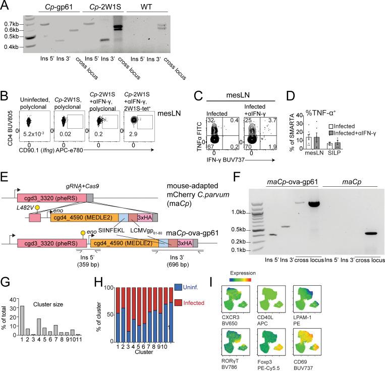 https://cdn.ncbi.nlm.nih.gov/pmc/blobs/2b35/11148471/f0534462d99b/JEM_20232067_FigS1.jpg