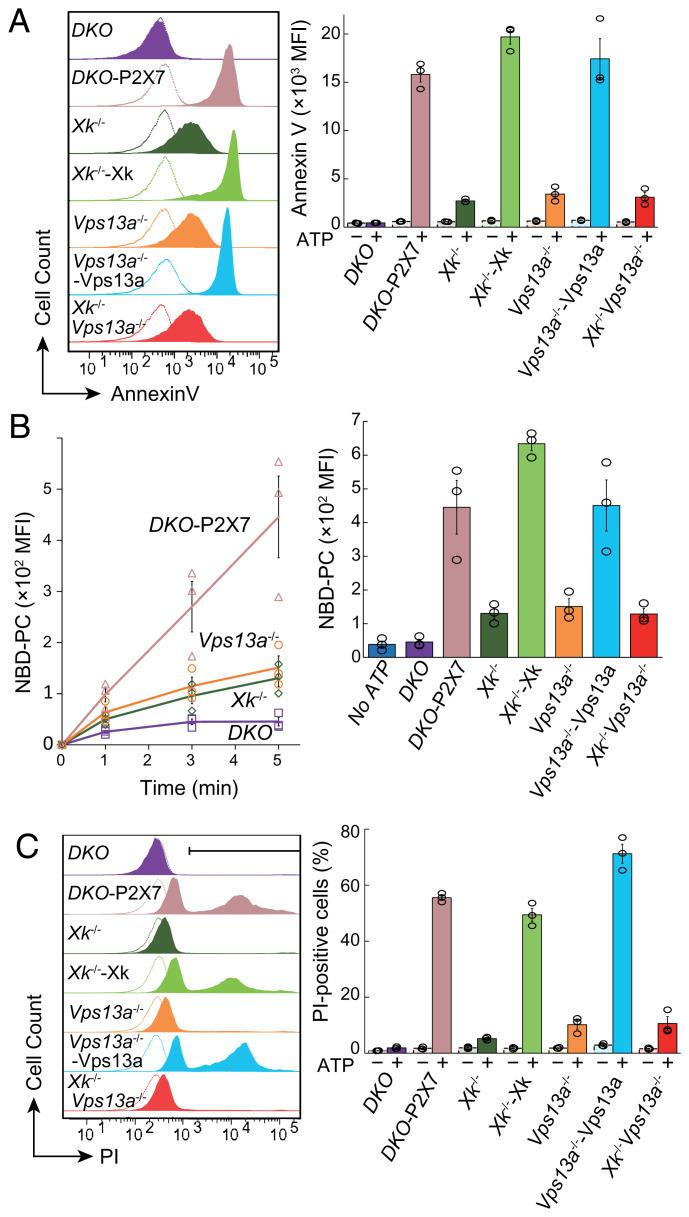 https://cdn.ncbi.nlm.nih.gov/pmc/blobs/2b35/8851519/f3235df2c9fe/pnas.2119286119fig03.jpg