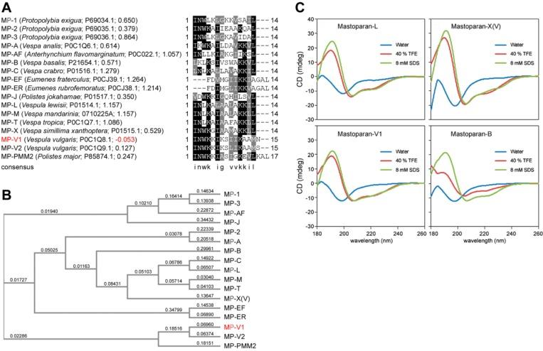 https://cdn.ncbi.nlm.nih.gov/pmc/blobs/2b53/6273832/07c7b296f785/molecules-21-00512-g001.jpg