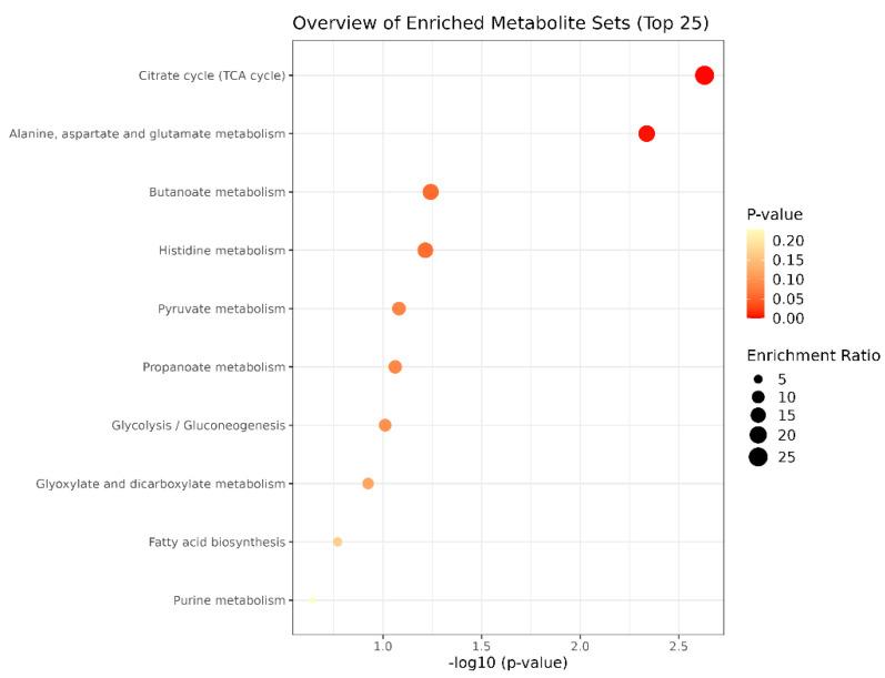 https://cdn.ncbi.nlm.nih.gov/pmc/blobs/2b60/11356577/9419e14e5201/metabolites-14-00433-g012.jpg