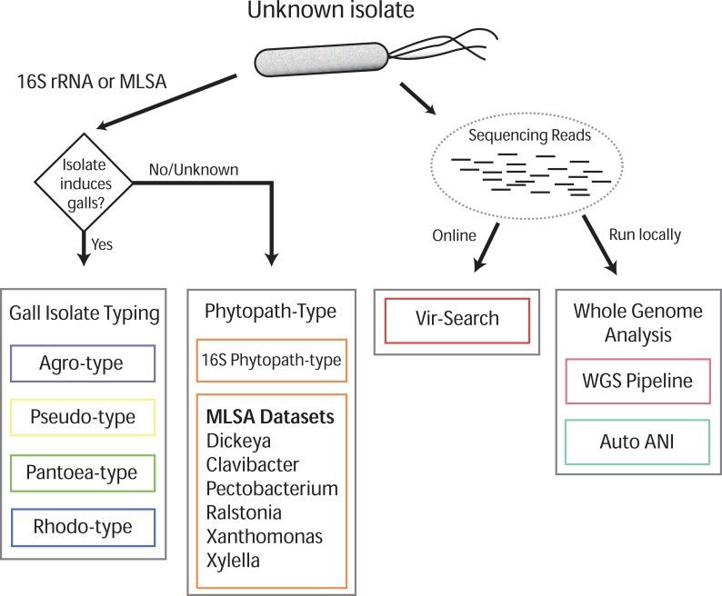 https://cdn.ncbi.nlm.nih.gov/pmc/blobs/2b7a/4958008/048434d7826b/peerj-04-2222-g001.jpg