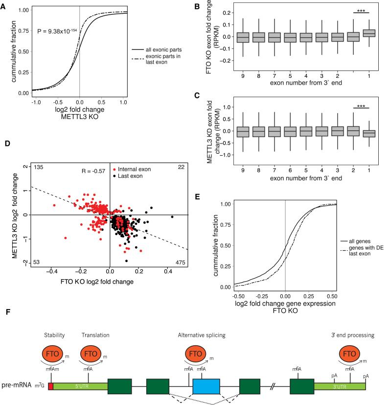 https://cdn.ncbi.nlm.nih.gov/pmc/blobs/2b7c/5737695/055fe5216e12/gkx778fig6.jpg