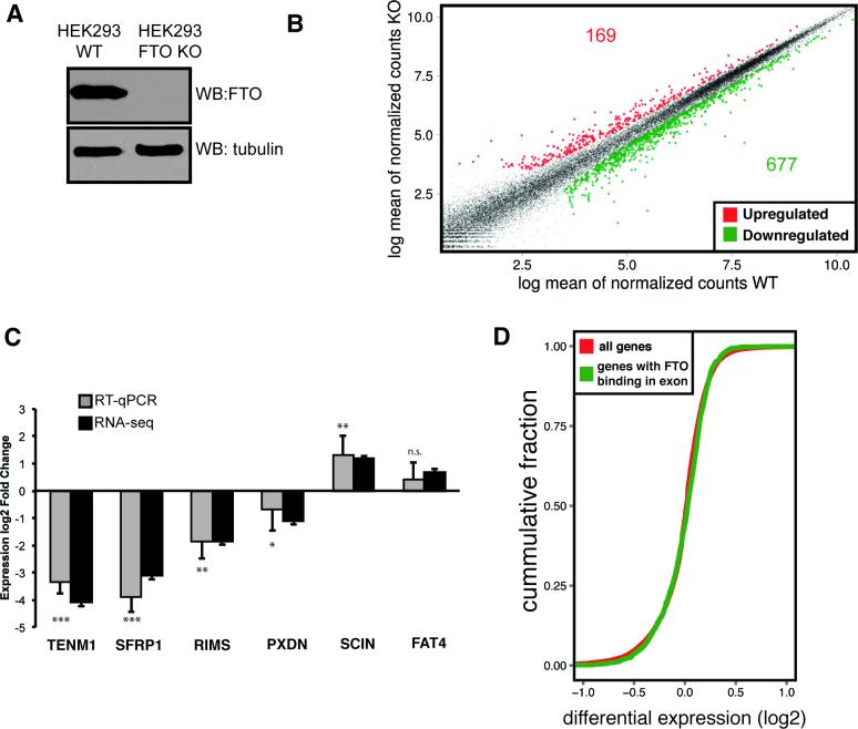https://cdn.ncbi.nlm.nih.gov/pmc/blobs/2b7c/5737695/449c09367755/gkx778fig3.jpg