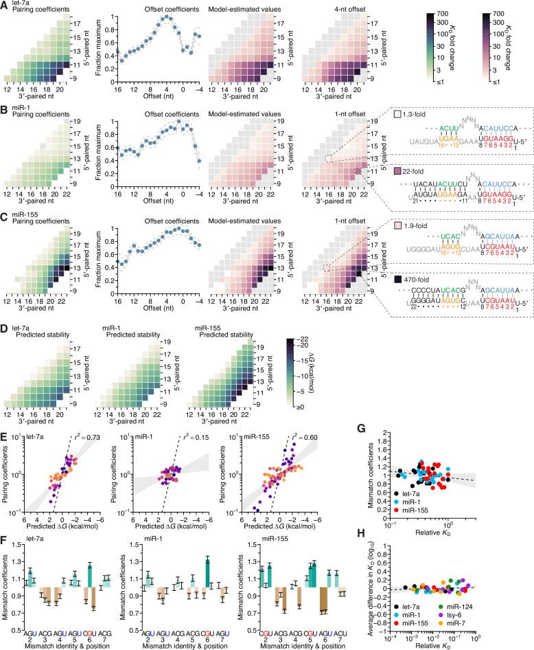 https://cdn.ncbi.nlm.nih.gov/pmc/blobs/2b7c/8940178/231d031b0c41/elife-69803-fig5.jpg