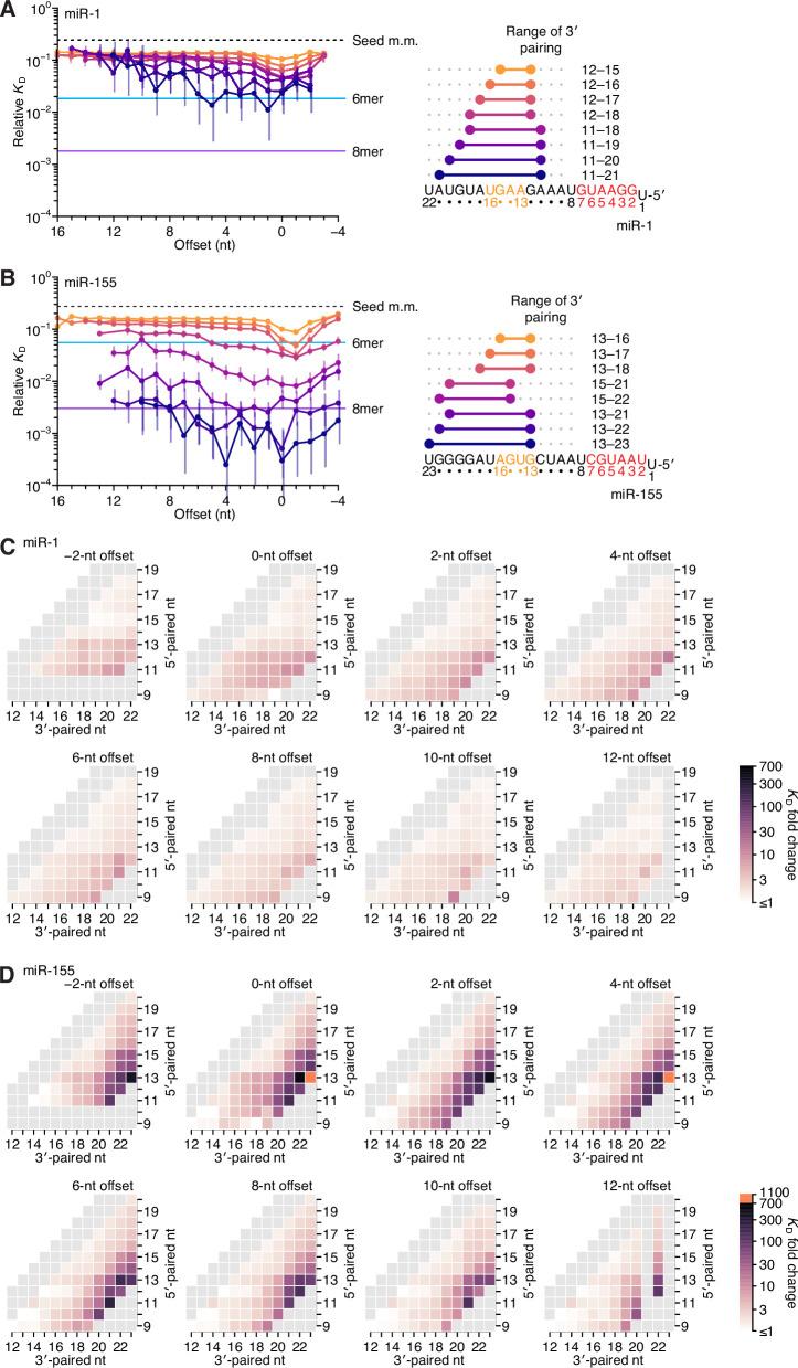 https://cdn.ncbi.nlm.nih.gov/pmc/blobs/2b7c/8940178/76ee87f6e2b5/elife-69803-fig4.jpg
