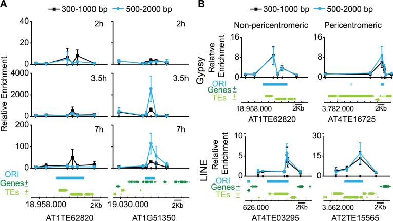 https://cdn.ncbi.nlm.nih.gov/pmc/blobs/2b86/5737333/450afb52f1a6/gkx524fig3.jpg