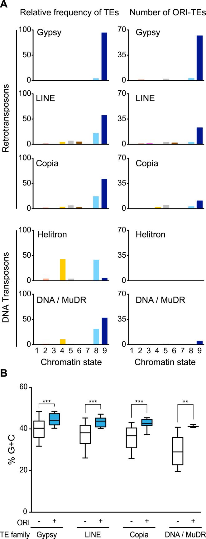 https://cdn.ncbi.nlm.nih.gov/pmc/blobs/2b86/5737333/9b4a04235a07/gkx524fig4.jpg