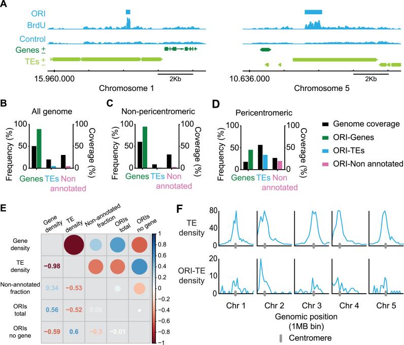 https://cdn.ncbi.nlm.nih.gov/pmc/blobs/2b86/5737333/a226581ef88e/gkx524fig1.jpg