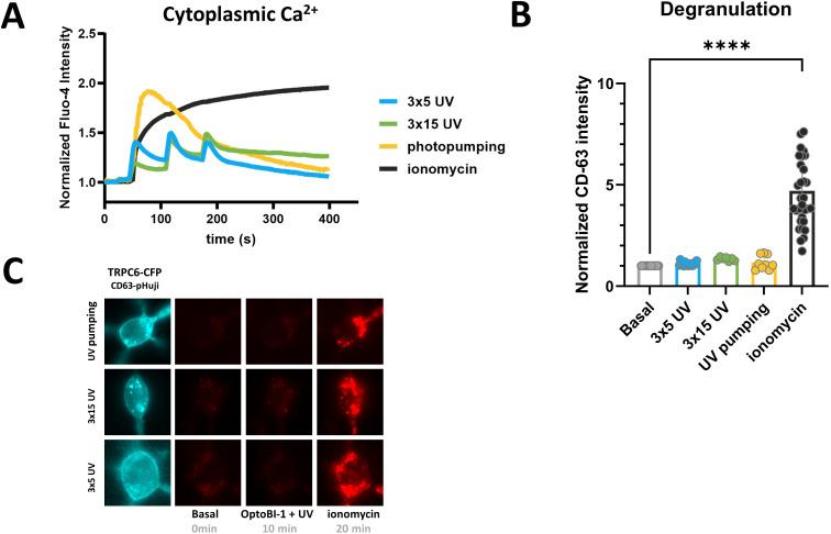 https://cdn.ncbi.nlm.nih.gov/pmc/blobs/2b8a/12329589/6449b09c7671/fimmu-16-1595036-g004.jpg