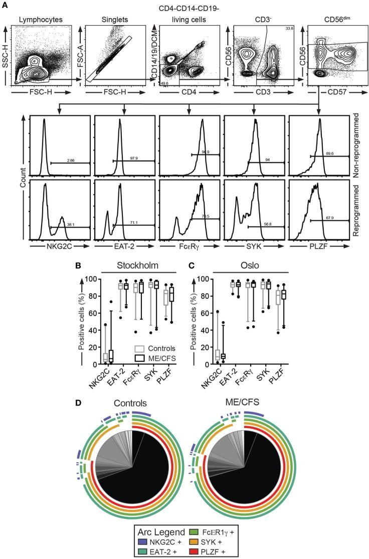 https://cdn.ncbi.nlm.nih.gov/pmc/blobs/2b8c/5483846/53c994857805/fimmu-08-00723-g004.jpg