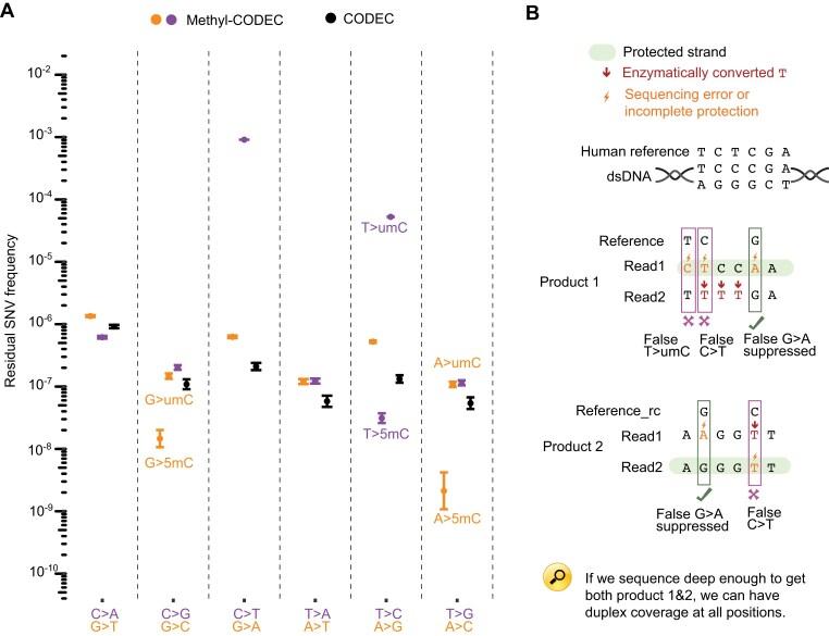 https://cdn.ncbi.nlm.nih.gov/pmc/blobs/2b97/12135180/0919dc335787/gkaf482fig3.jpg