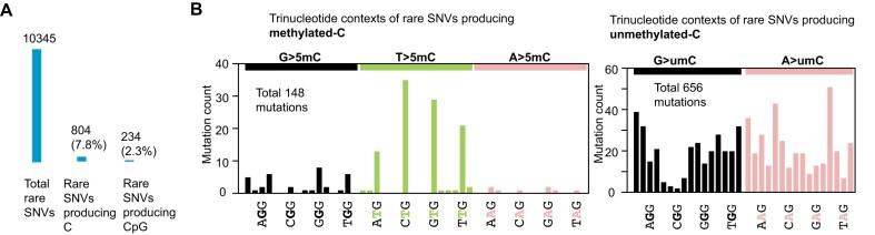 https://cdn.ncbi.nlm.nih.gov/pmc/blobs/2b97/12135180/abb18820ffac/gkaf482fig4.jpg