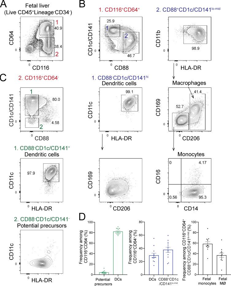 https://cdn.ncbi.nlm.nih.gov/pmc/blobs/2b9f/8759608/b328a7af826d/JEM_20210987_Fig1.jpg