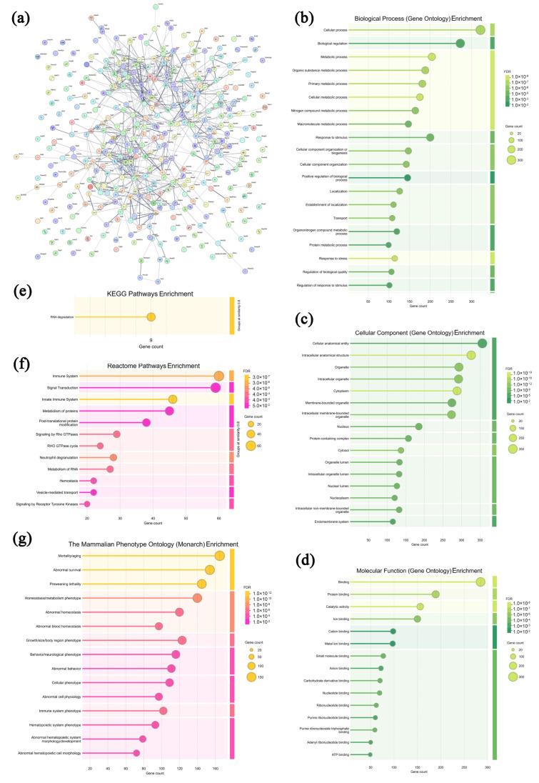https://cdn.ncbi.nlm.nih.gov/pmc/blobs/2be2/12388226/52d62f41c230/microorganisms-13-01750-g009.jpg