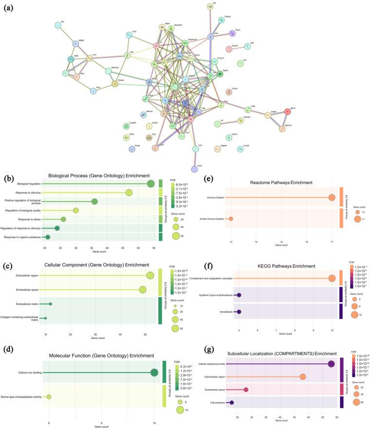 https://cdn.ncbi.nlm.nih.gov/pmc/blobs/2be2/12388226/71a09317386b/microorganisms-13-01750-g006.jpg
