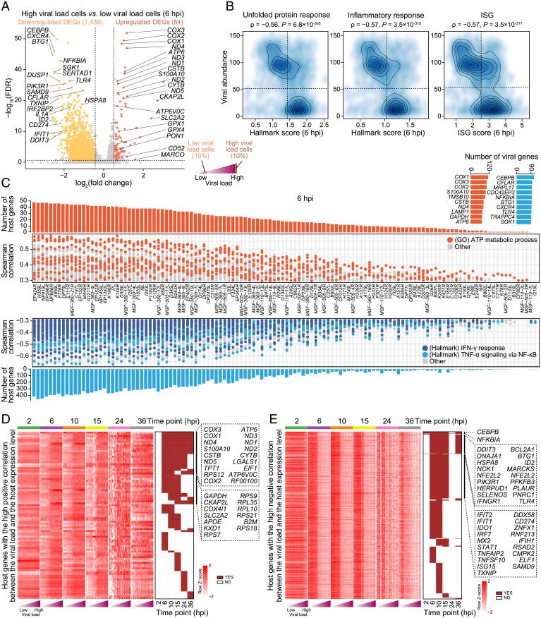 https://cdn.ncbi.nlm.nih.gov/pmc/blobs/2be5/9171760/3f8901a6c7fb/pnas.2201288119fig05.jpg