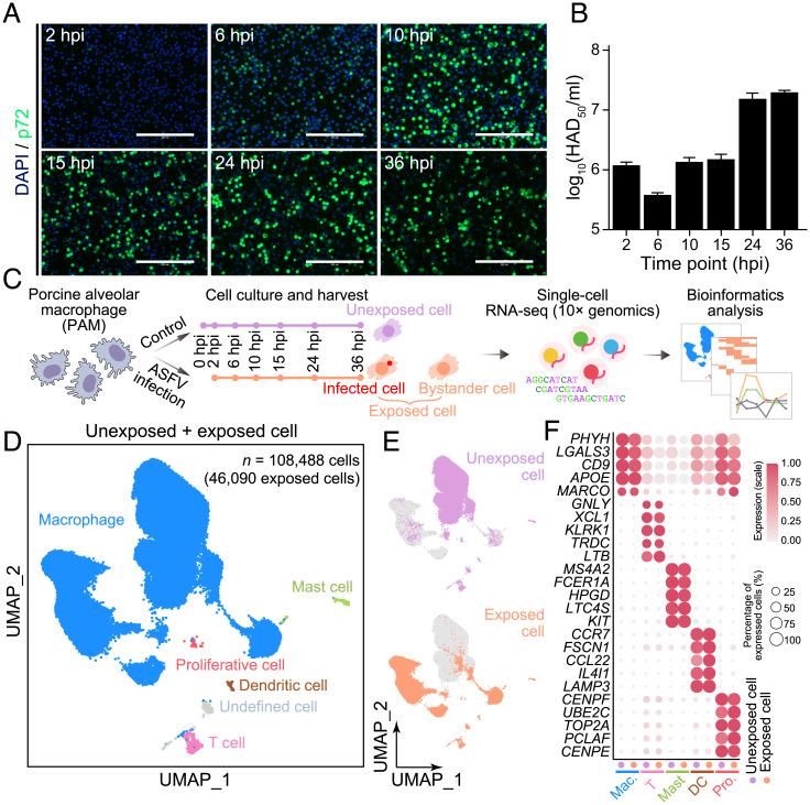 https://cdn.ncbi.nlm.nih.gov/pmc/blobs/2be5/9171760/54d89662055f/pnas.2201288119fig01.jpg