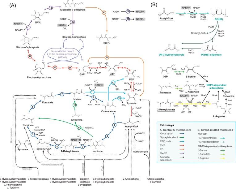 https://cdn.ncbi.nlm.nih.gov/pmc/blobs/2c0b/12117332/266a044fceb2/fuaf021fig3.jpg