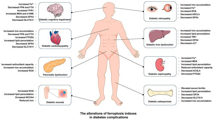 https://cdn.ncbi.nlm.nih.gov/pmc/blobs/2c11/12389314/899030c0ea39/nutrients-17-02714-g001.jpg