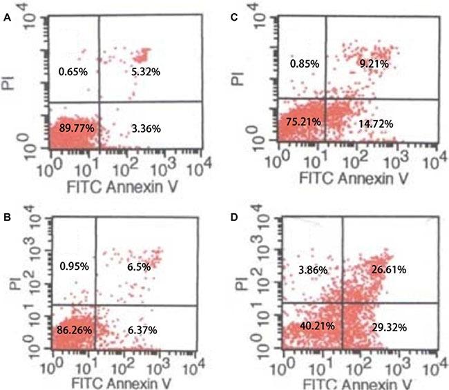 https://cdn.ncbi.nlm.nih.gov/pmc/blobs/2c32/5352340/cce30a77cb3f/oncotarget-08-7533-g004.jpg