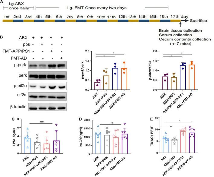 https://cdn.ncbi.nlm.nih.gov/pmc/blobs/2c38/9367971/5c7ec4983719/fnagi-14-858130-g002.jpg