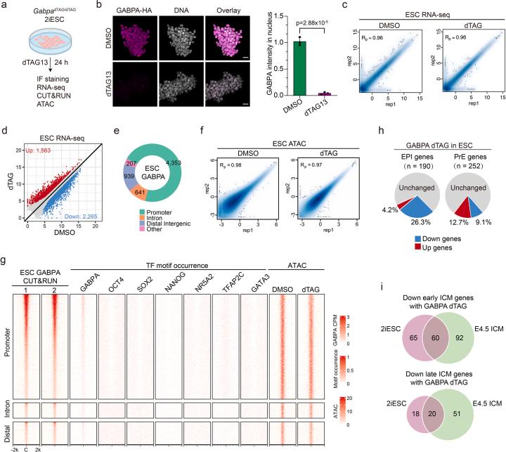 https://cdn.ncbi.nlm.nih.gov/pmc/blobs/2c5c/11735382/27b93361e9c0/41556_2024_1554_Fig12_ESM.jpg
