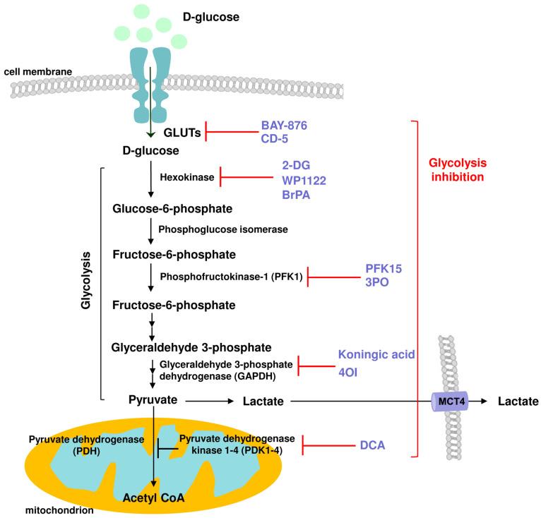 https://cdn.ncbi.nlm.nih.gov/pmc/blobs/2c86/10975218/0944d8dc54ca/molecules-29-01298-g004.jpg
