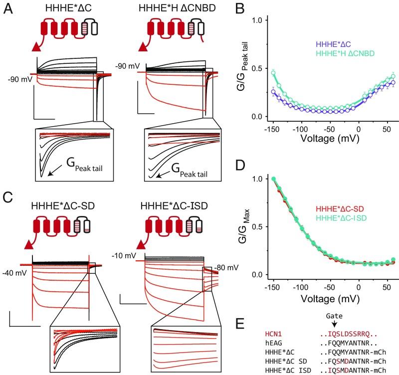https://cdn.ncbi.nlm.nih.gov/pmc/blobs/2cac/6329955/4f9bc2f23c36/pnas.1816724116fig04.jpg