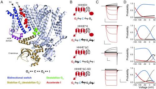 https://cdn.ncbi.nlm.nih.gov/pmc/blobs/2cac/6329955/923a156e2826/pnas.1816724116fig06.jpg