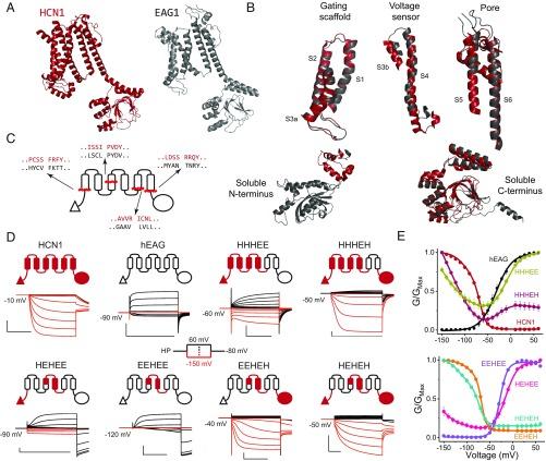 https://cdn.ncbi.nlm.nih.gov/pmc/blobs/2cac/6329955/9a210ac10077/pnas.1816724116fig01.jpg