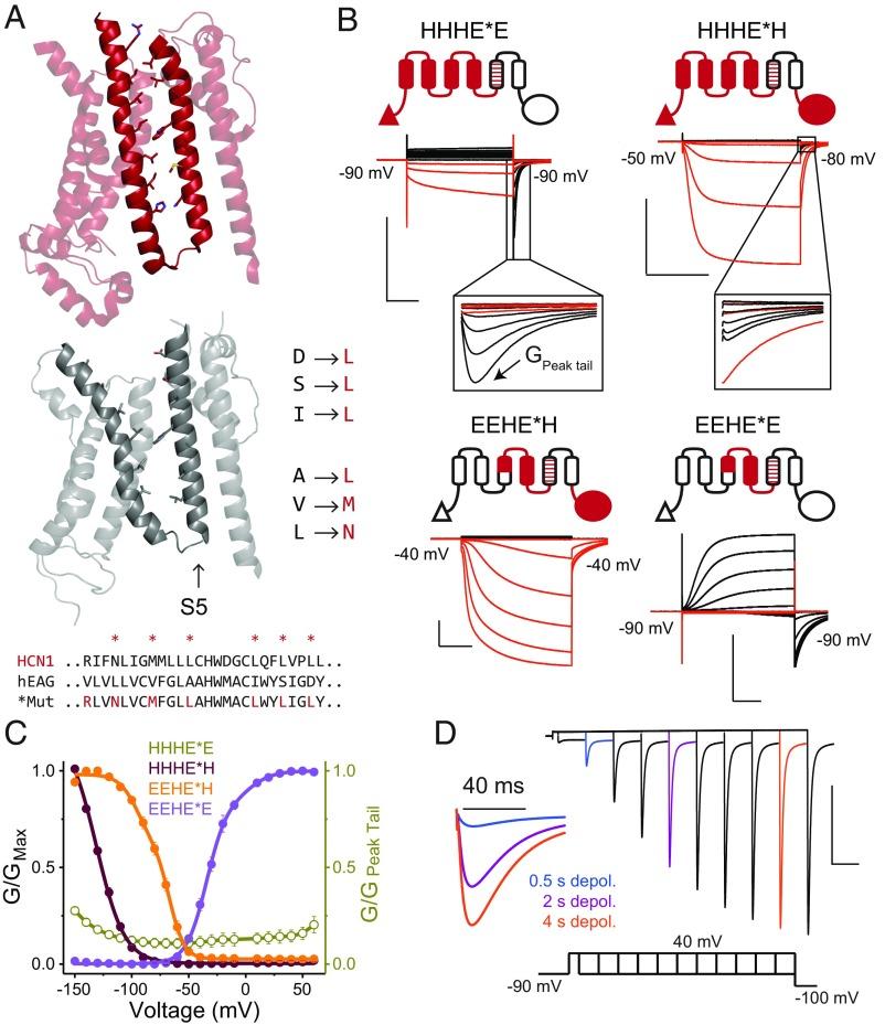 https://cdn.ncbi.nlm.nih.gov/pmc/blobs/2cac/6329955/9fd74cb2235d/pnas.1816724116fig03.jpg
